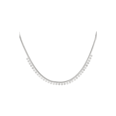 Ketting muntjes - zilver - stainless steel