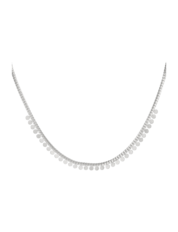 Ketting muntjes - zilver - stainless steel