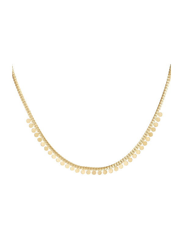 Ketting muntjes - goud - stainless steel