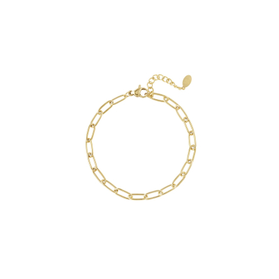 Schakelarmband basic - goud - stainless steel